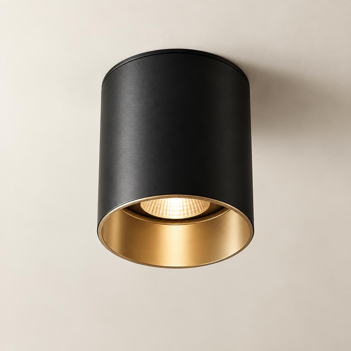 Black and champagne architectural ceiling downlight